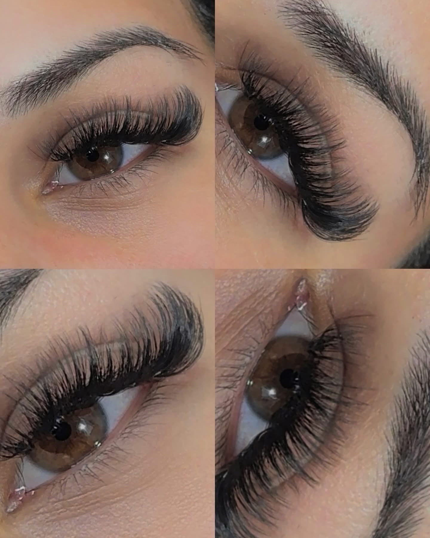 Lash Training Certification Course (5-in-1)