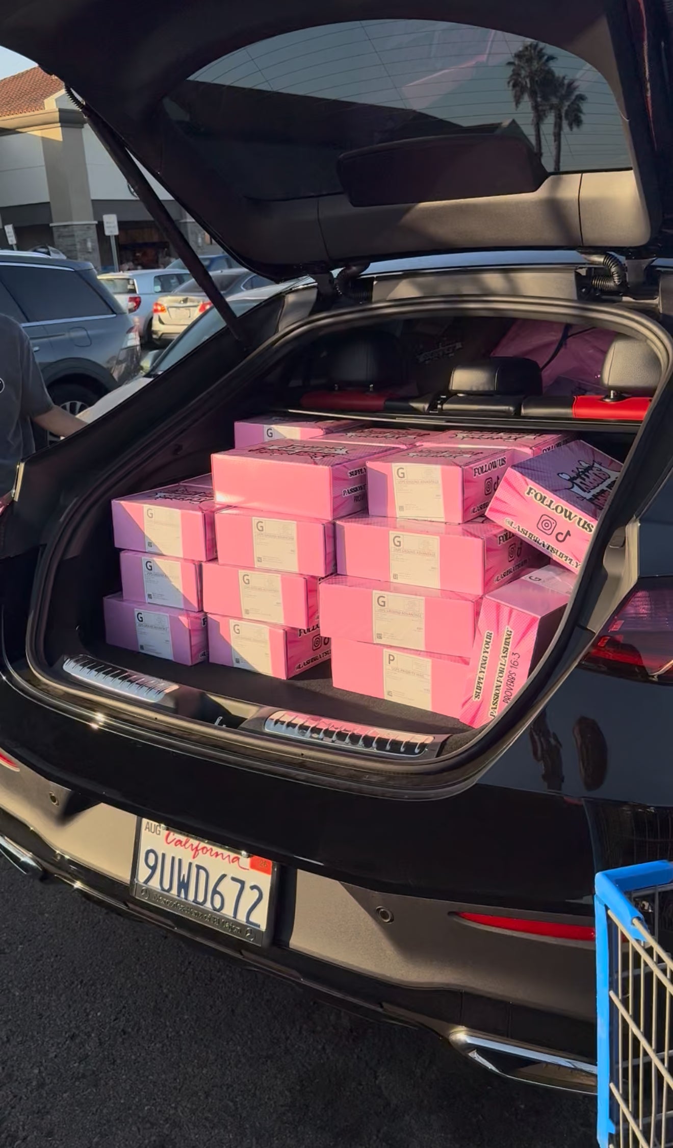 1-on-1 Marketing Mentorship